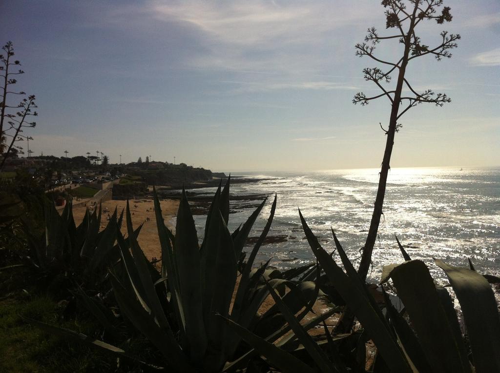 Appartement Beach Warehouse S.Pedro Estoril Chambre photo